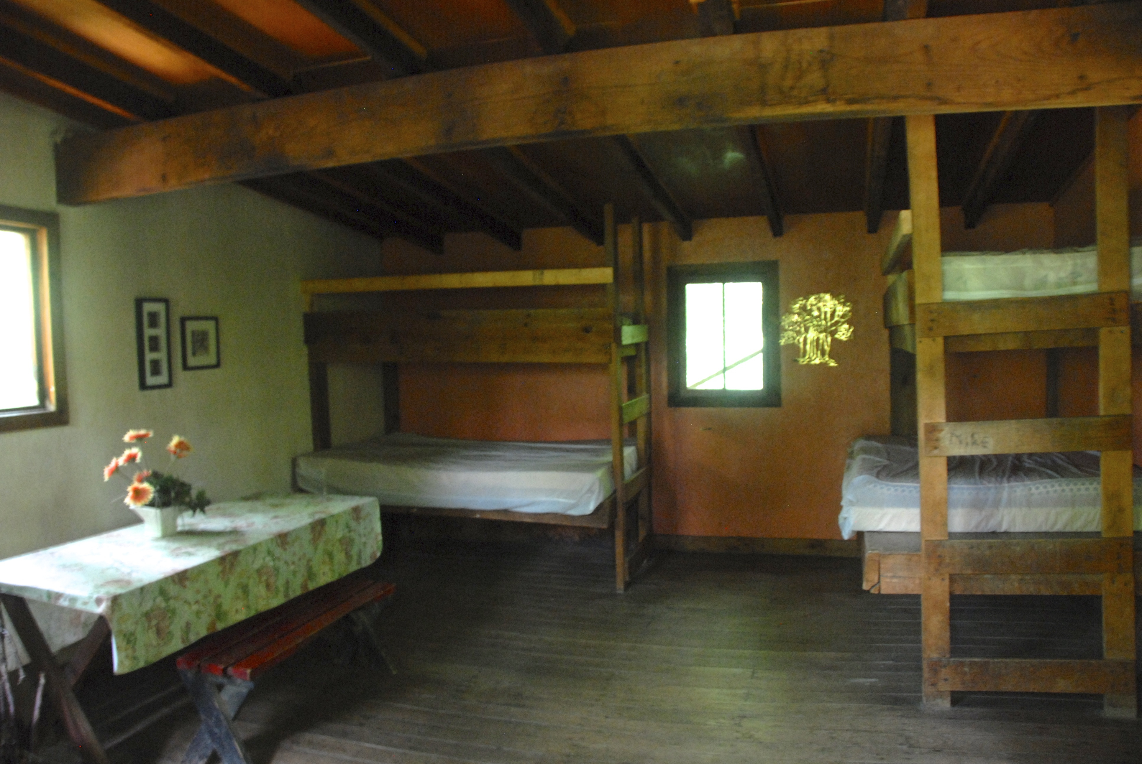 We thought it would be a treehouse, but really, it was a cabin on stilts. 