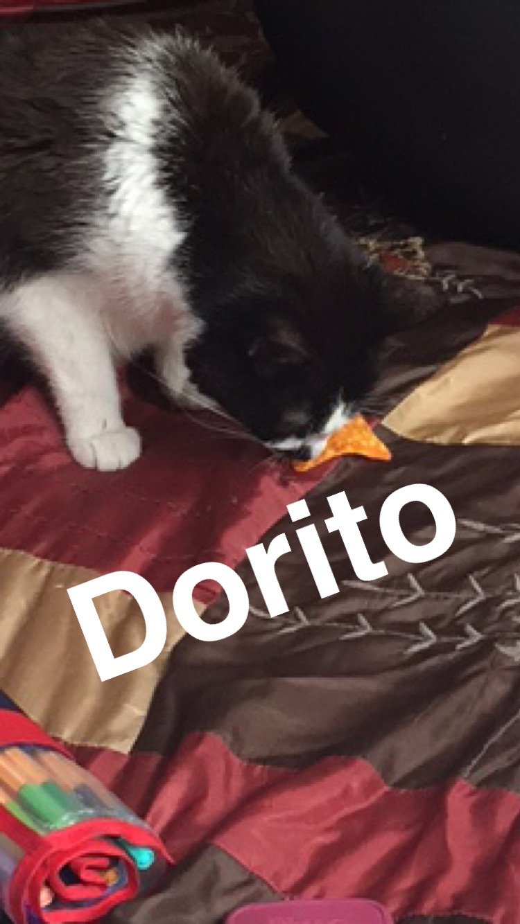 Also taken by my client. Jade loved Doritos